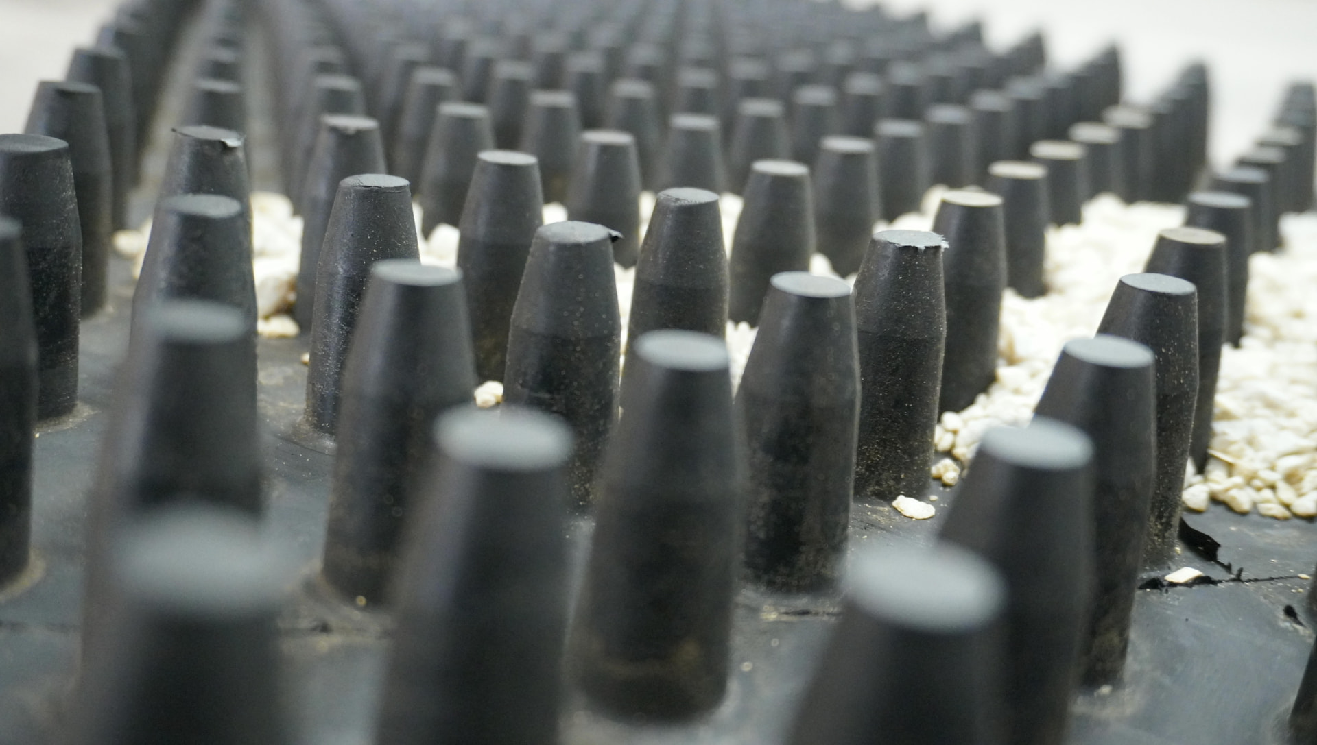 Conical nubs molded into a Cambelt belt carrying granular material