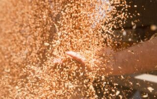 3 Important Safety Tips for Entering Grain Silos
